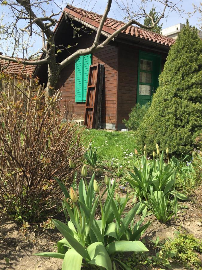 Eco Residence Ribaritsa Eksteriør bilde